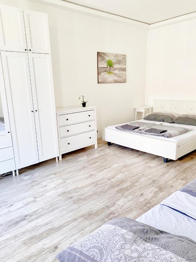 Luxury Apartment In The Centre Ac Parking Garden Budapeşte Dış mekan fotoğraf